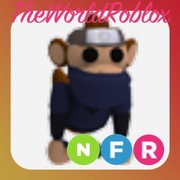 Roblox Adopt Me Ninja Monkey NFR