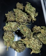 Susz CBG 5g 10g 25g 50g 100g 250g 9.16% wyprzedaż promocja 