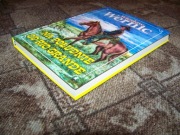 WERNIC - NA POŁUDNIE OD RIO GRANDE - NOWA