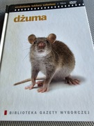 Dżuma omówienie lektury szkolnej +film DVD