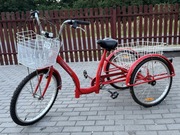 Rehtime 2 -Rower trójkołowy rekreacyjno-rehabilitacyjny 