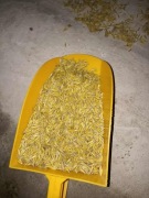 Sprzedam owies tegoroczny