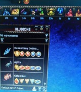 Seafight Konto lvl.Pirata22 Doinwestowane Polecam 