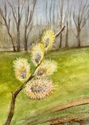 Kwitnąca gałązka wierzby Original Akwarela A4