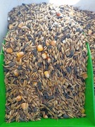 Mieszanka zbóż dla królików nr 1 20kg