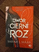 Książka fantasy Dwór cierni i róż