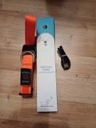OBROŻA DLA PSA Z PODŚWIETLENIEM LED USB POMARAŃCZOWA 