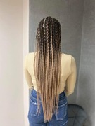 Warkocze afrykańskie