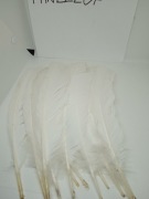 Pióra 28-30 cm, naturalne jak gęsi kaczki bażanta 