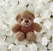 Śliczny słodki pluszowy puszysty miś maskotka pluszak beżowy mięciutki nowy