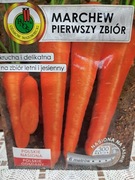 Nasiona na taśmie - marchew