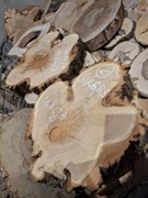 AKACJA ROBINIA 50/46/8,5cm Po Suszarni Blat Plaster Drewna Stolik DIY Suchy