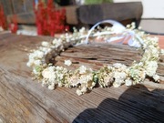 Wianek Ślubny,sesja,Komunia 