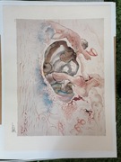 Salvador Dali - syreny i żeglarze - litografia lata 80. 