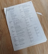 Fun with Flupe Script for Parents - helen doron