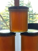 Syrop z Mniszka Lekarskiego 