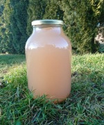 Ocet na pasożyty 500ml