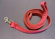 Smycz dla psa 150 cm