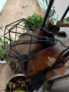 Lampka biurkowa Eglo Tarbes 