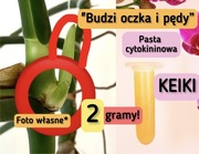 2 g! Pasta cytokininowa Keiki klonująca hormon wzrostu dla roślin