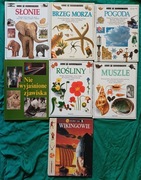 Patrzę podziwiam poznaję, Rośliny, Brzeg morza, Muszle, Słonie, Pogoda 