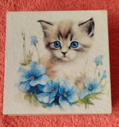 Kotek wśród niezapominajek