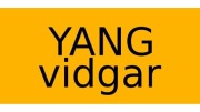 Yangi Vidgar - 100KK Yang