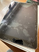 iPad Air 2 MGL12FD/A
