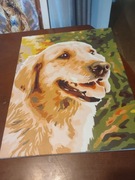 Pies golden retriever malowany farbami akrylowymi 
