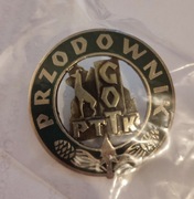 Przodownik GOT PTTK duża 