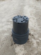 Doniczki po sadzonkach borówki 