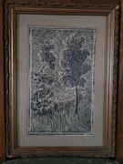 Karol Baraniecki syg Linoryt