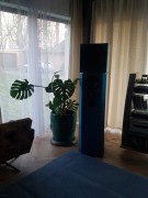 Visaton Atlas DSM MK2