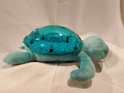 Zabawka interaktywna żółw. Nowa wersja kultowego projektora.