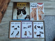 Psy i Koty 1 3 4 Opieka Kociaki Cztery Łapki Zestaw