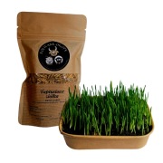 Ziarno owsa na zieloną trawkę 200g zioła dla królika, szynszyli, świnki 