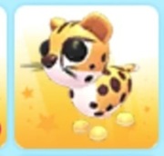 pet Cheetah adopt me 