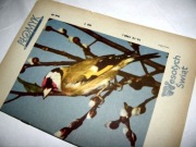 Płomyk nr 7 z 1966