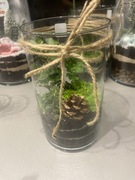 Las w słoiku – Oryginalny prezent – gotowy ekosystem”