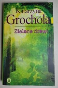 Zielone drzwi Katarzyna Grochola