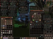 Metin2 Polska Sura WP 5lvl Champion z całym kołem znakomitej alchemii 