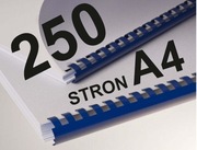 Podręcznik druk A4 mono do 250 stron + bindowanie