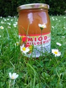 Miód wielokwiatowy Leśny tegoroczny zbiór 2025