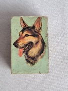 Unikatowe zapałki kolekcjonerskie z psem . Małe !!!.