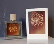 Allsaits Incense City EDP