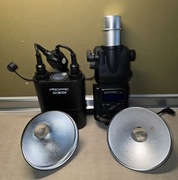 Godox Wistro AD360 - Przenośna lampa błyskowa