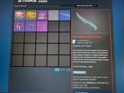 konto cs go 9 level faceit + skiny kosa 