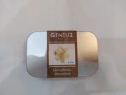 Łamigłówka drewniana GENIUS