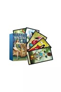 Wróżka wróżba tarot 
