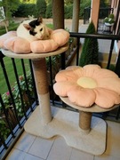 Drapak KWIATEK, duży, solidny, NOWY !!! Legowisko 50cm, wys. ok 1m !!!